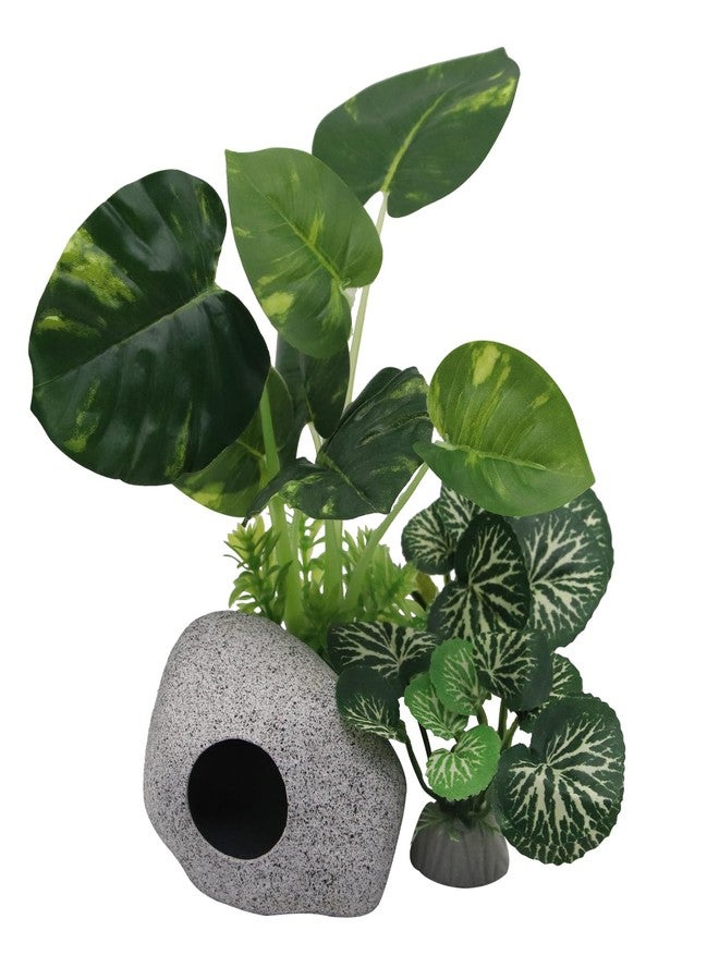 Abustle pig Aquarium Plants Fish Tank Decorations Plastic Artificial Aquarium Plant and Rock Cave Hideout House with Viewing Window for Betta Fish Tank Decor(Leafs/Stone Cave) - Image 4